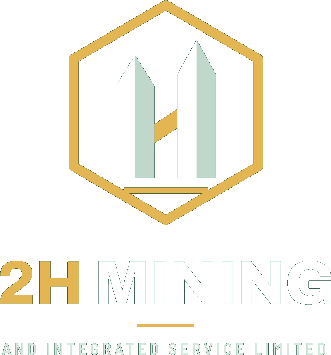 2H MINING & INTEGRATED SERVICE LIMITED