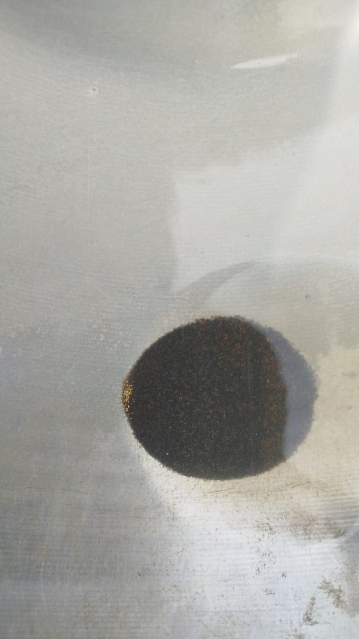Panned concentrate showing fine gold