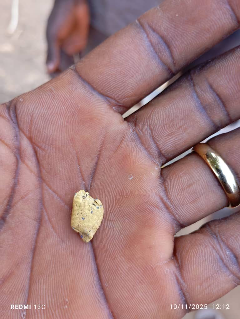 Gold nugget found on site
