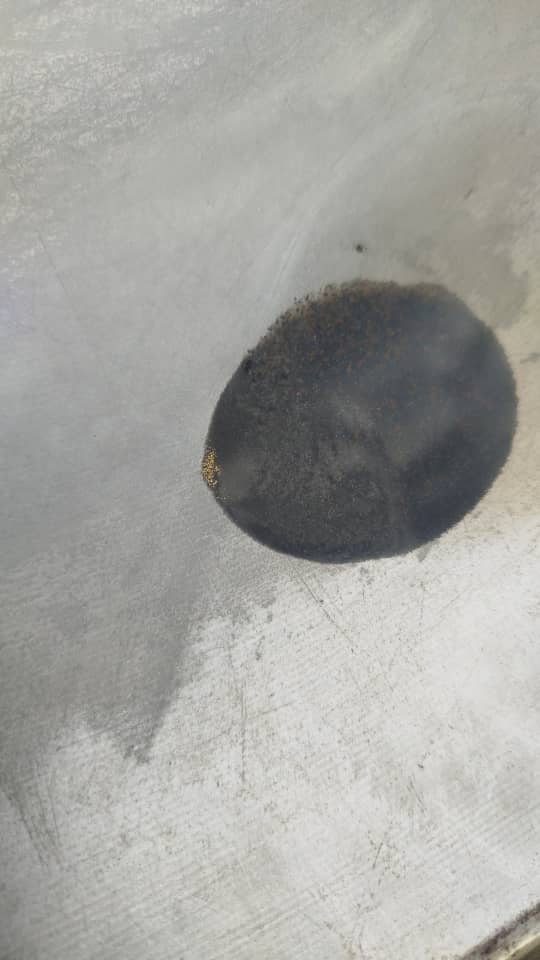 Gold specks in black sand concentrate